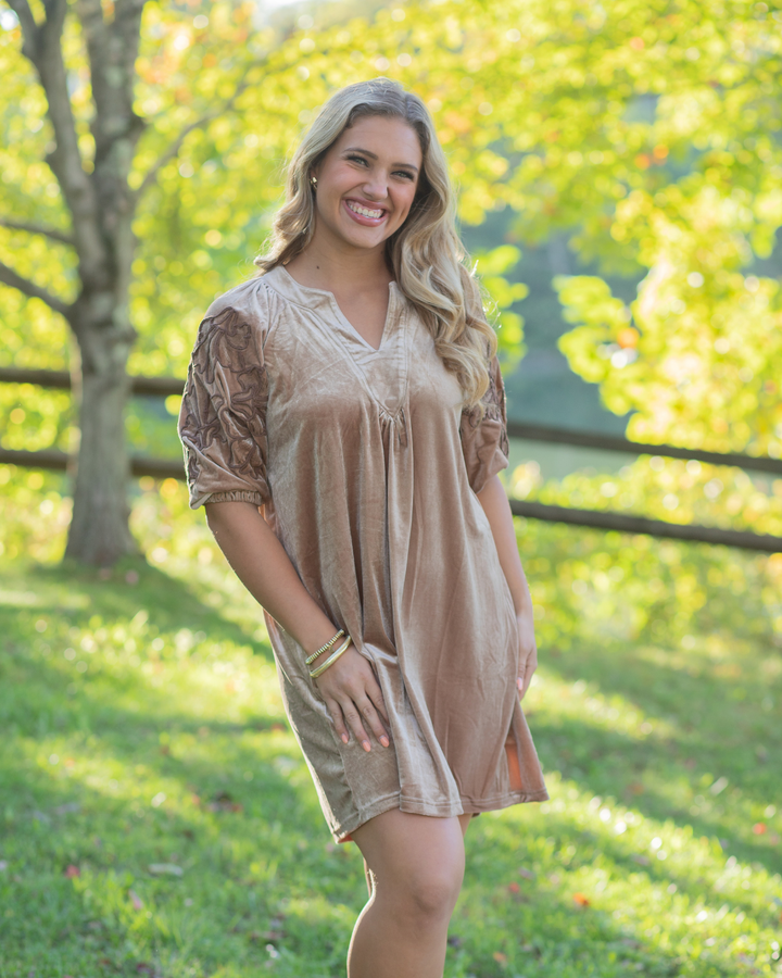 Champagne Embroidered Sleeve Velvet Dress