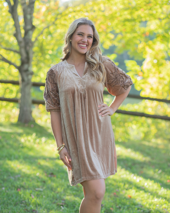 Champagne Embroidered Sleeve Velvet Dress