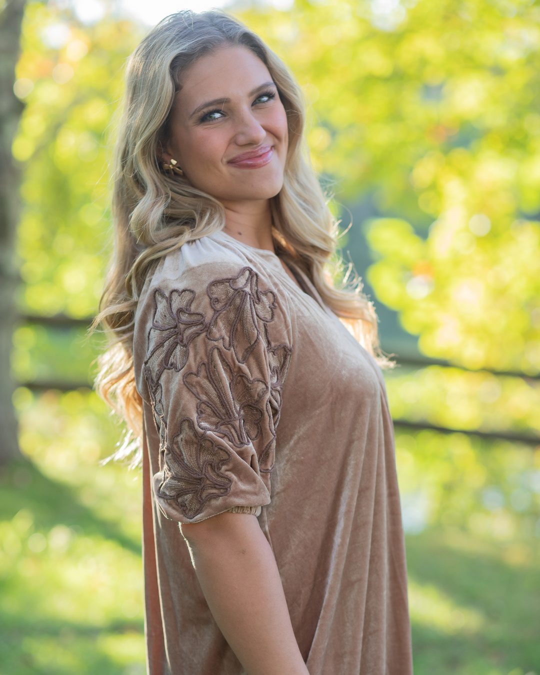 Champagne Embroidered Sleeve Velvet Dress