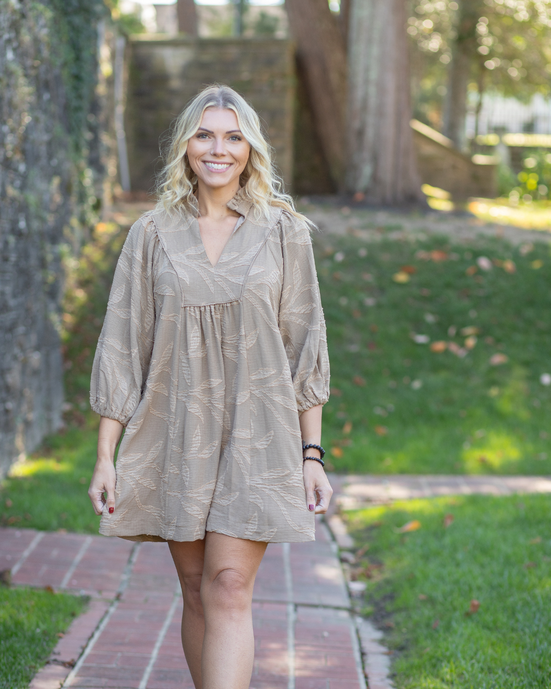 Tan V-Neck Embroidered Dress